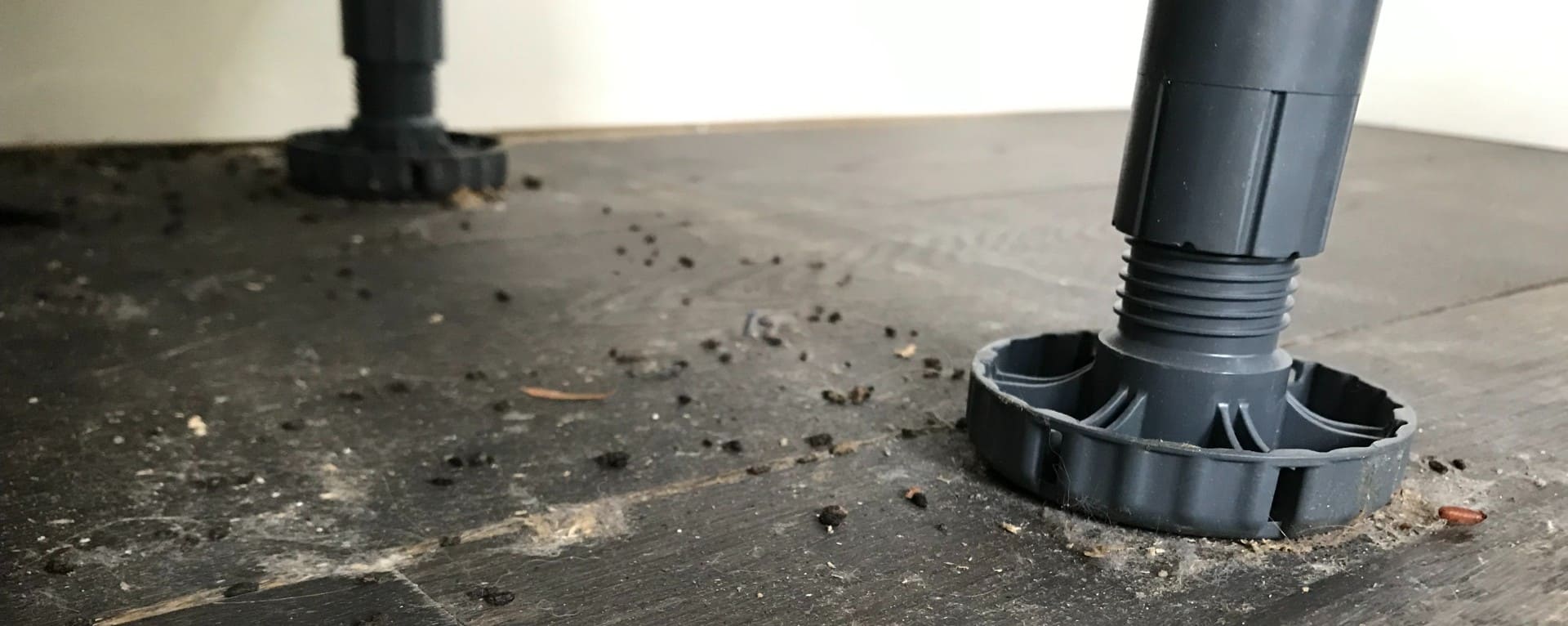 mice droppings under kitchen counter